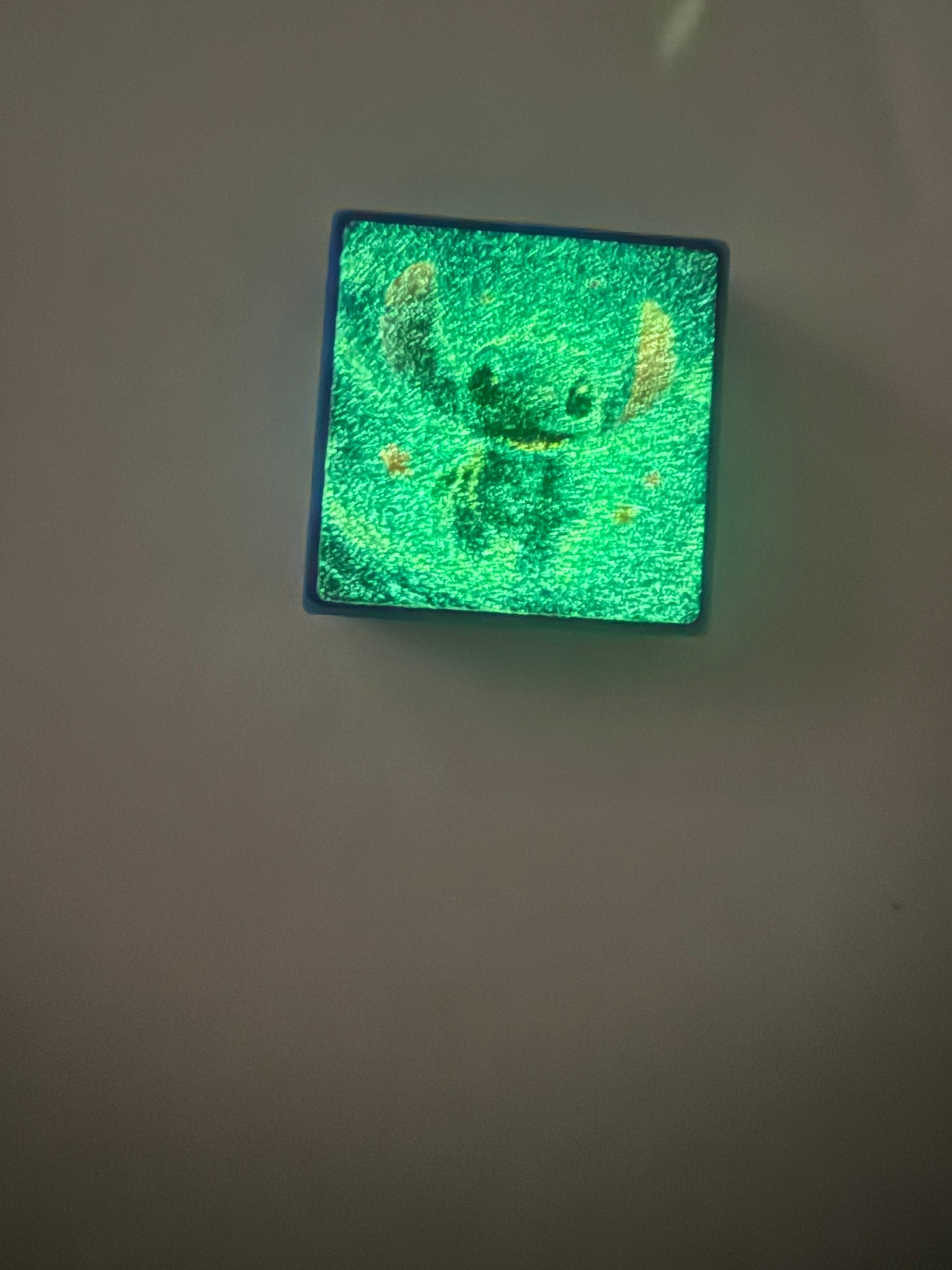 Focals 2d glow in dark stitch