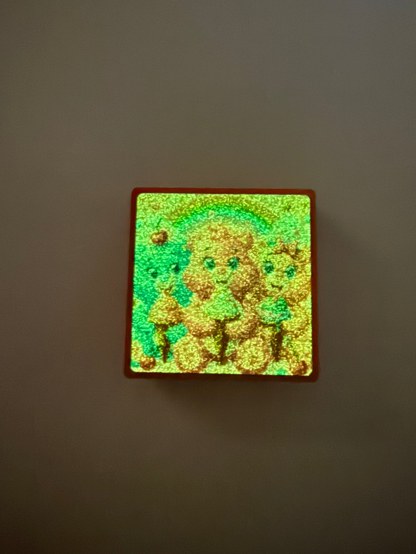Focals 2d square glow in dark carebears