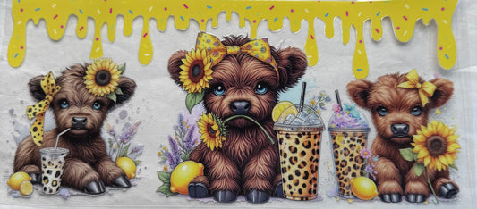 uvdtf  transfer wrap highland cow lemon