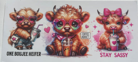 Cup wraps uvdtf bougie highland cow with coffee