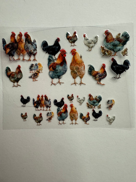 Uvdtf wraps Mini Stanley chickens