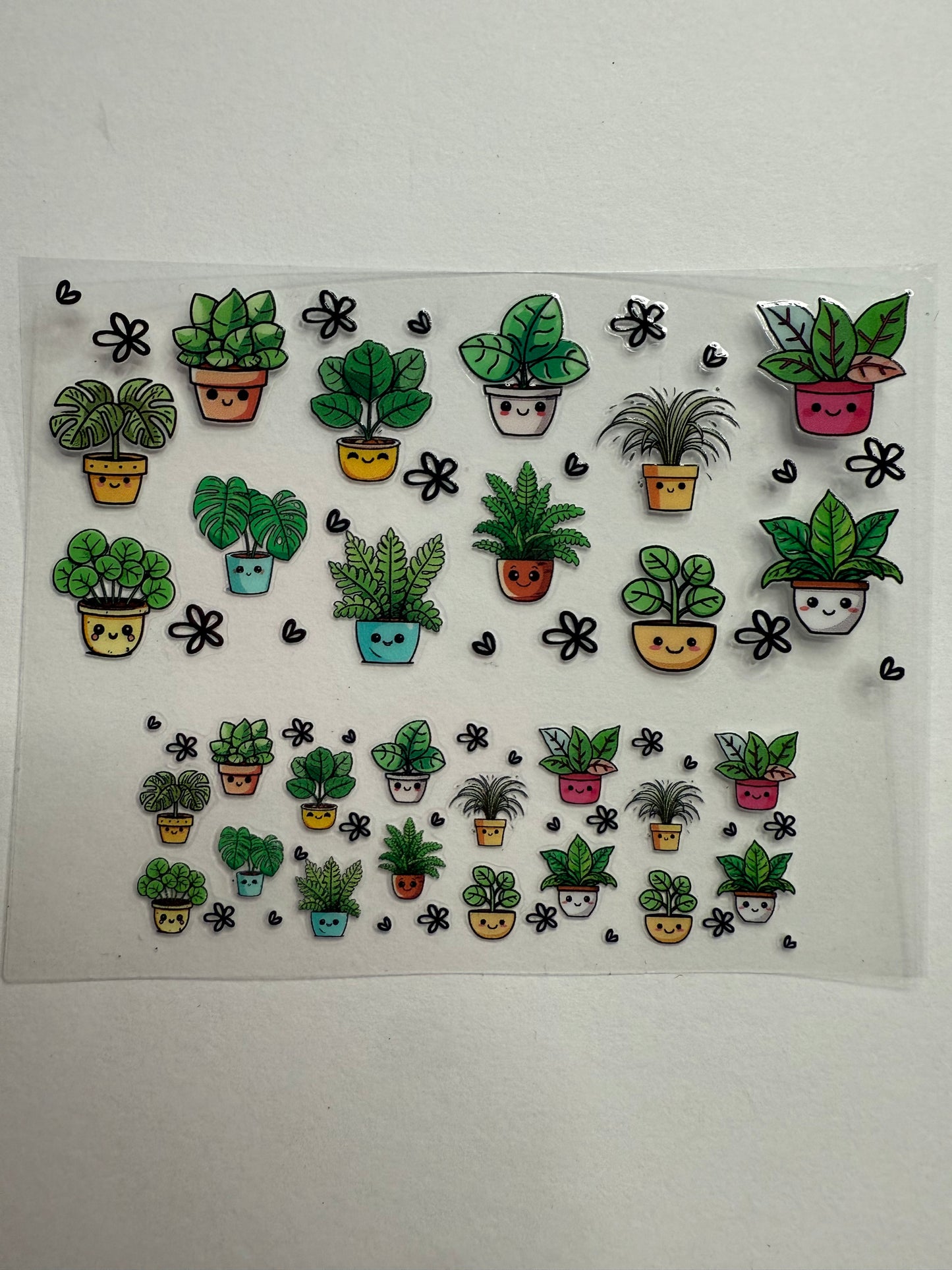 Uvdtf wraps Mini Stanley plants