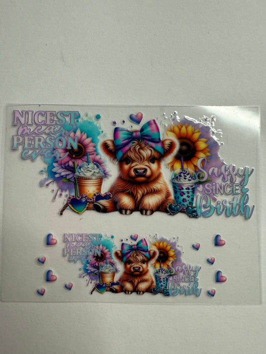 Uvdtf wraps Mini Stanley highland cow sassy since birth