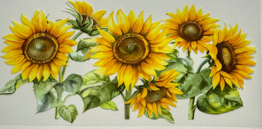 Cup wraps uvdtf sunflowers