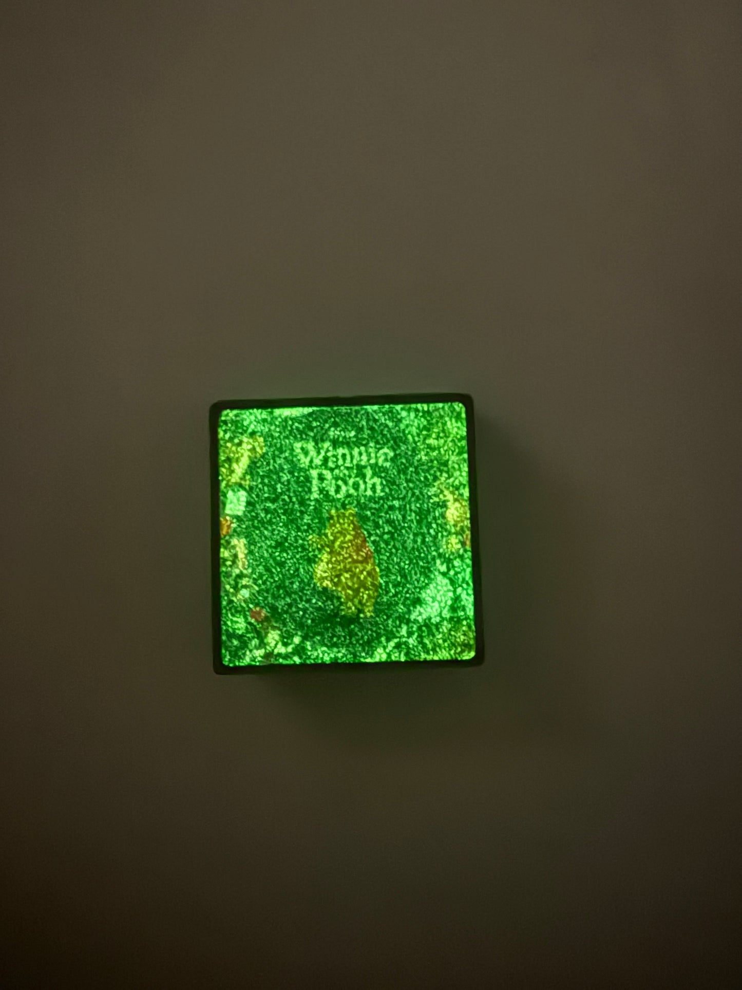 Focal 2d glow in dark Winnie the Pooh