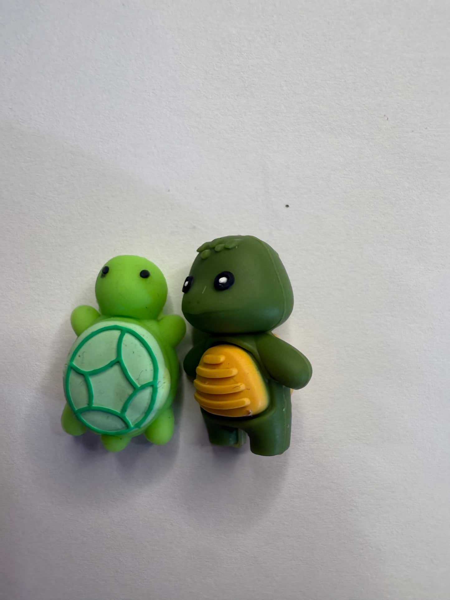 Focal turtles 3d